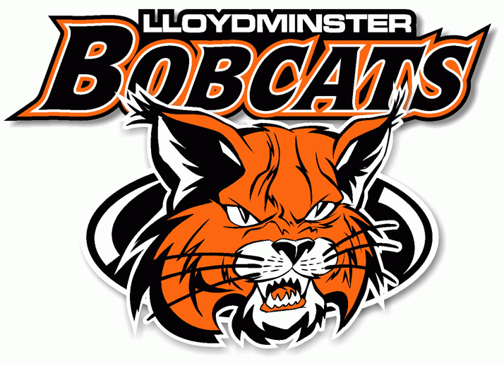 Lloydminster Bobcats 2005-Pres Primary Logo iron on transfers for clothing